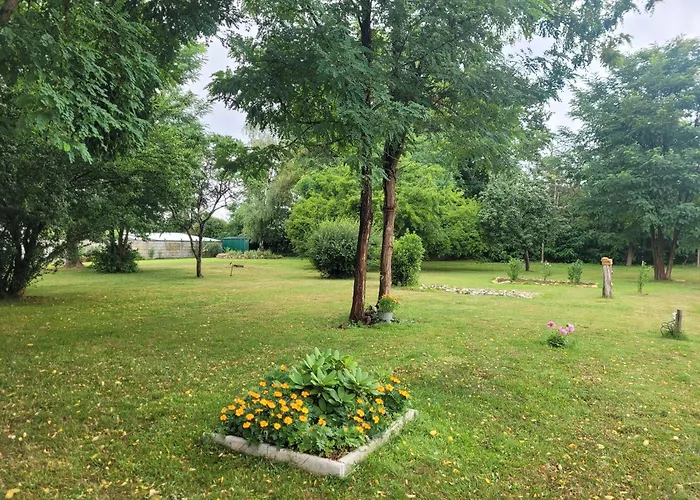 De 13 Personnes Proche Du Mans *